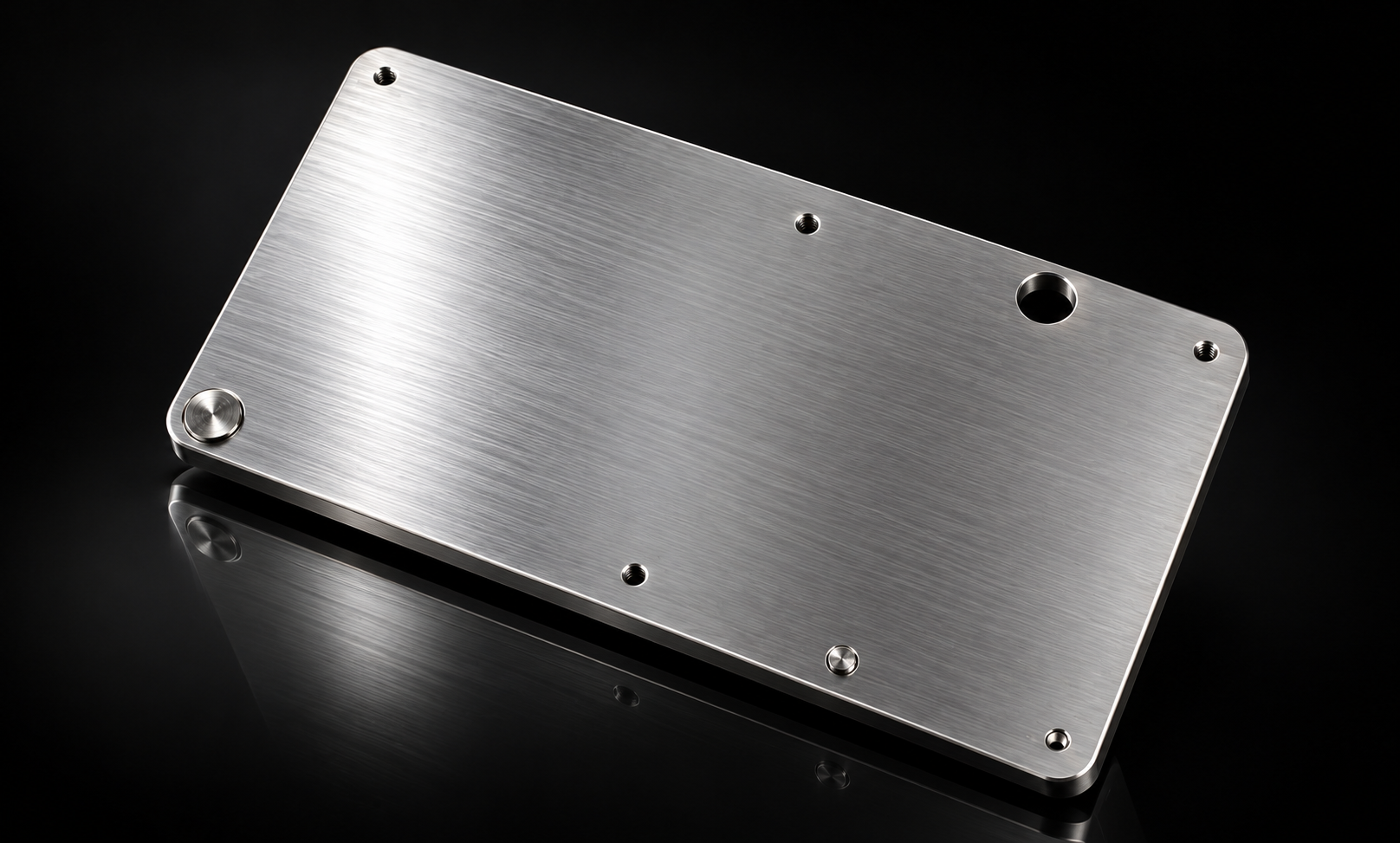 Steel Seed Recovery Plate aus gebürstetem Edelstahl mit dezenter Spiegelung